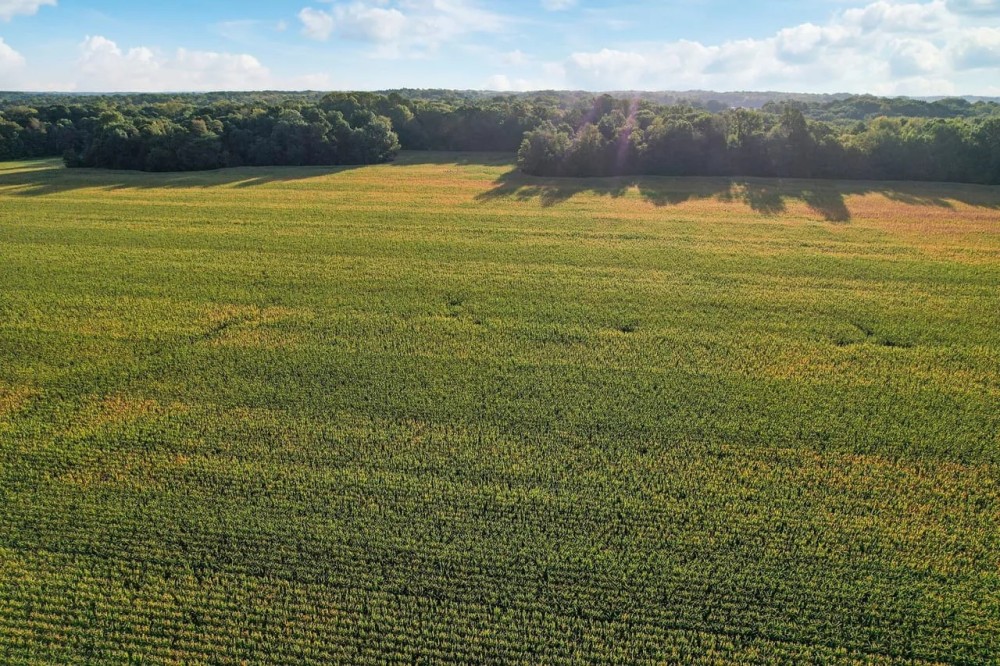 Land For Sale in Clay County IN 127 Acres - featured image