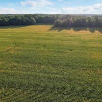 Land For Sale in Clay County IN 127 Acres -