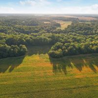 Land For Sale in Clay County IN 127 Acres - images 2