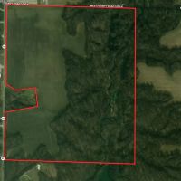 Land For Sale in Clay County IN 127 Acres - images 3