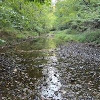 Land For Sale in Clay County IN 127 Acres - images 4