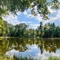 Turnkey Hunting Land in Hinds County MS
