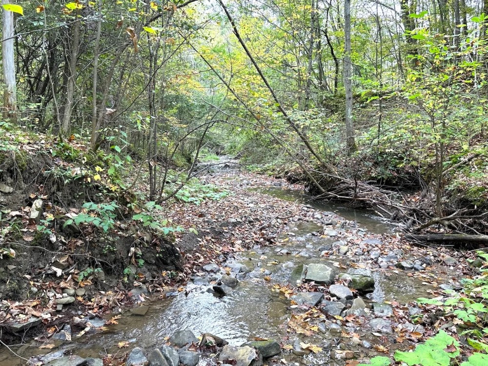 10 Wooded Acres with Stream near State Land in Grove NY County Road 15b Financing Offered featured image