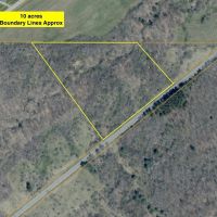 10 Wooded Acres with Stream near State Land in Grove NY County Road 15b Financing Offered images 5