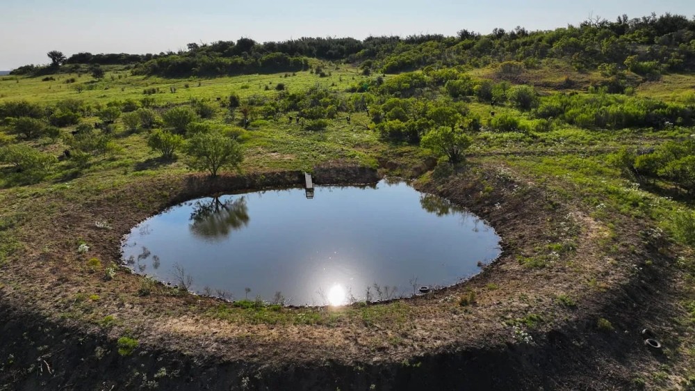 The South Trap featured image