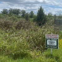 LA - West Carroll 68 acres -