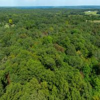 9 - Acres NO RESTRICTIONS Izard County Evening Shade Arkansas images 3