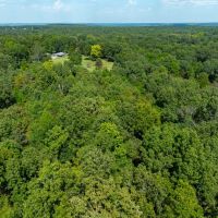 9 - Acres NO RESTRICTIONS Izard County Evening Shade Arkansas images 4
