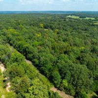 9 - Acres NO RESTRICTIONS Izard County Evening Shade Arkansas images 5