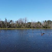 Southlands images 5