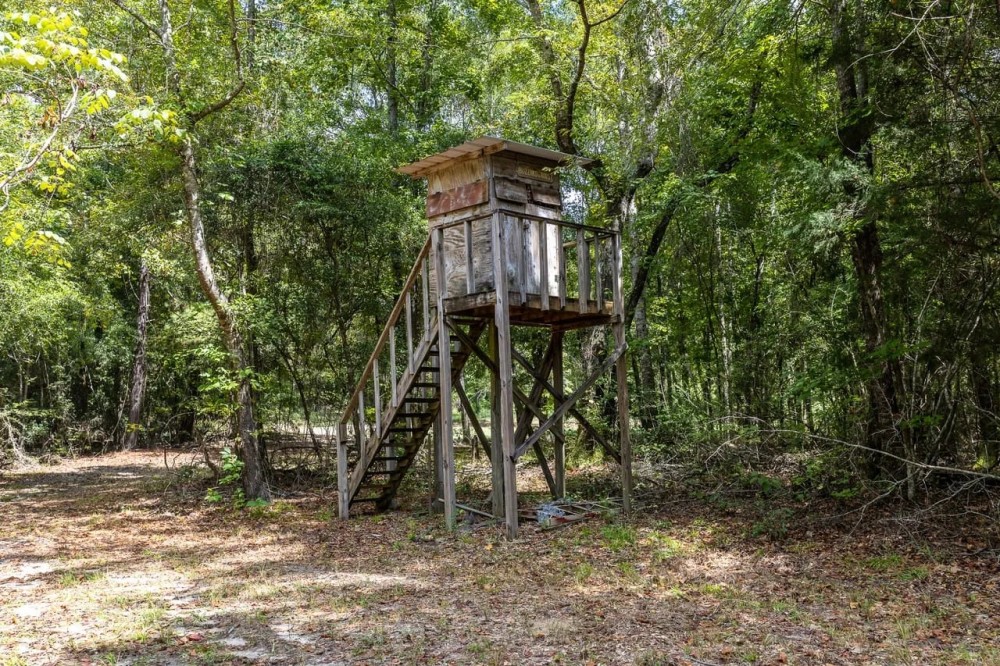 229 Acre Hunting Tract at Gee s Bend with Gorgeous Timber in Wilcox County featured image