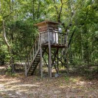 229 Acre Hunting Tract at Gee s Bend with Gorgeous Timber in Wilcox County