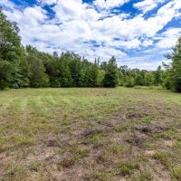 229 Acre Hunting Tract at Gee s Bend with Gorgeous Timber in Wilcox County images 2