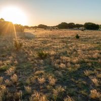 Lazy L North 158.876 Acre Ranch images 3