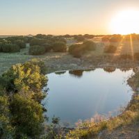 Lazy L North 158.876 Acre Ranch images 4