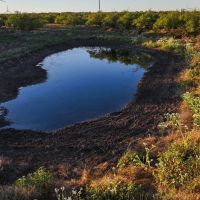 Ash Acres images 4