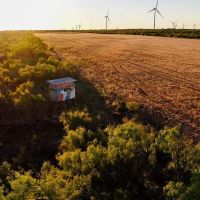 Ash Acres images 5