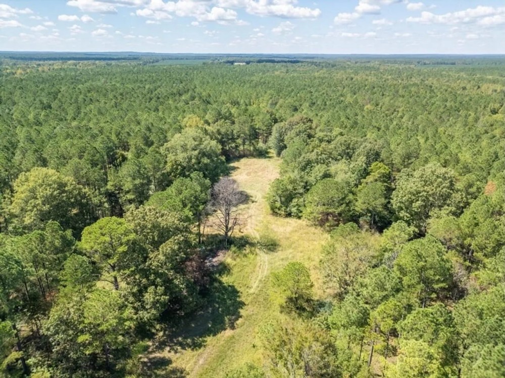 235 Acres For Sale Starkville MS featured image