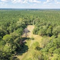 235 Acres For Sale Starkville MS