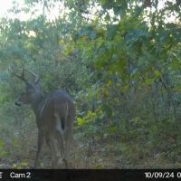 Thompsonville Rd - 483 acres - Vinton County