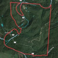 Thompsonville Rd - 483 acres - Vinton County images 3