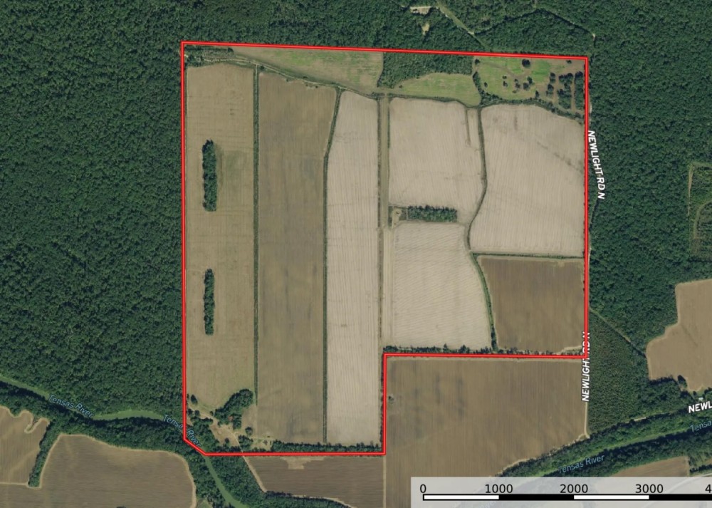 LA - Tensas 557 acres - featured image