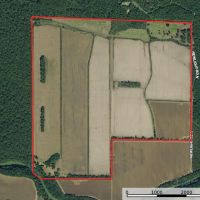 LA - Tensas 557 acres -