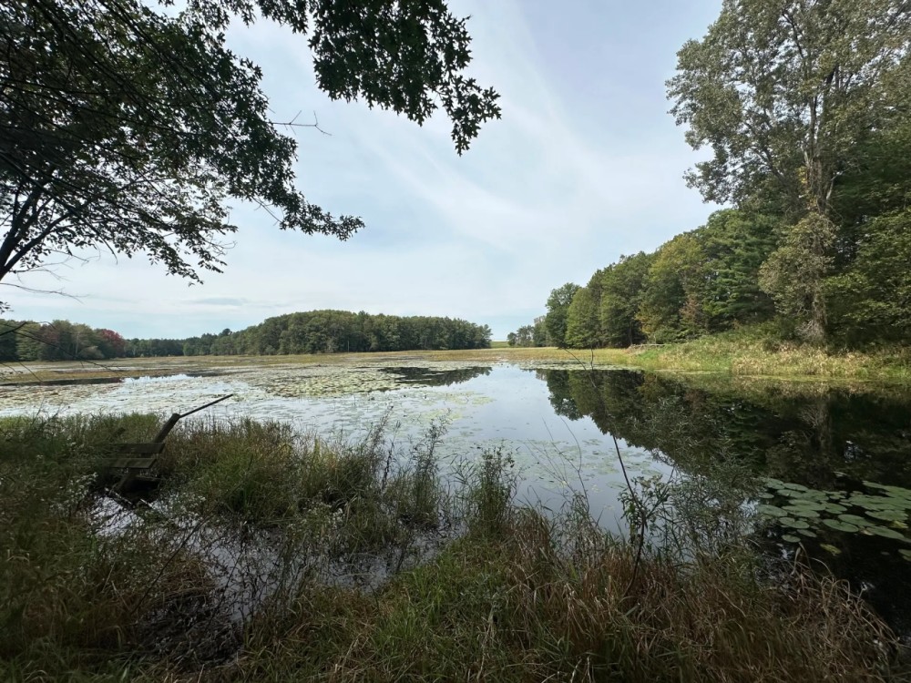 Private retreat on this 15-acre lot Rosholt WI featured image