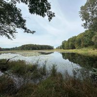 Private retreat on this 15-acre lot Rosholt WI