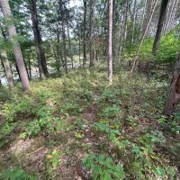 Private retreat on this 15-acre lot Rosholt WI images 2