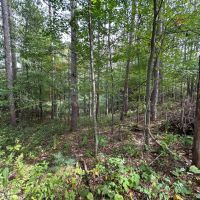 Private retreat on this 15-acre lot Rosholt WI images 5