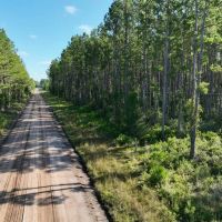 32 - Acres in Camden County GA images 2