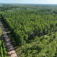 32 - Acres in Camden County GA images 3