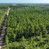 32 - Acres in Camden County GA images 4