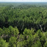 32 - Acres in Camden County GA images 5