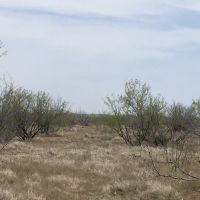 Img 1374