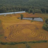 36 Acre Pullet Farm in Hamilton County TN images 2