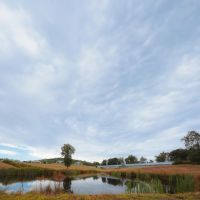 36 Acre Pullet Farm in Hamilton County TN images 3