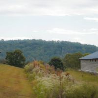 36 Acre Pullet Farm in Hamilton County TN images 5
