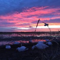 Waterfowl hunt club by Wister Wildlife Refuge