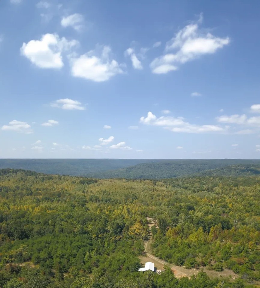 100 Acres with a Cabin in Marion County TN featured image