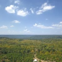 100 Acres with a Cabin in Marion County TN