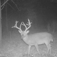 100 Acres with a Cabin in Marion County TN images 4