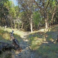 33 Unrestricted Acres Amazing Hill Country Views images 5