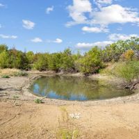 NEW LISTING 27 -Acres Tract 2 Hwy 6 Moran TX 76464 images 4