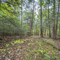 115 acres Hunting and Recreational Property in Lindley NY Bell Hill Rd images 2