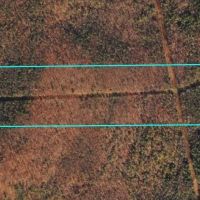 115 acres Hunting and Recreational Property in Lindley NY Bell Hill Rd images 4