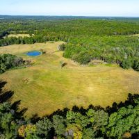 160 - Acres Pasture Mature Timber Pond NO RESTRICTIONS Cave City AR