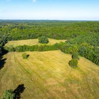 160 - Acres Pasture Mature Timber Pond NO RESTRICTIONS Cave City AR images 2