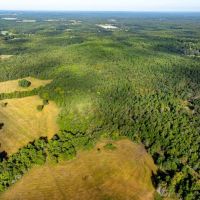 160 - Acres Pasture Mature Timber Pond NO RESTRICTIONS Cave City AR images 3